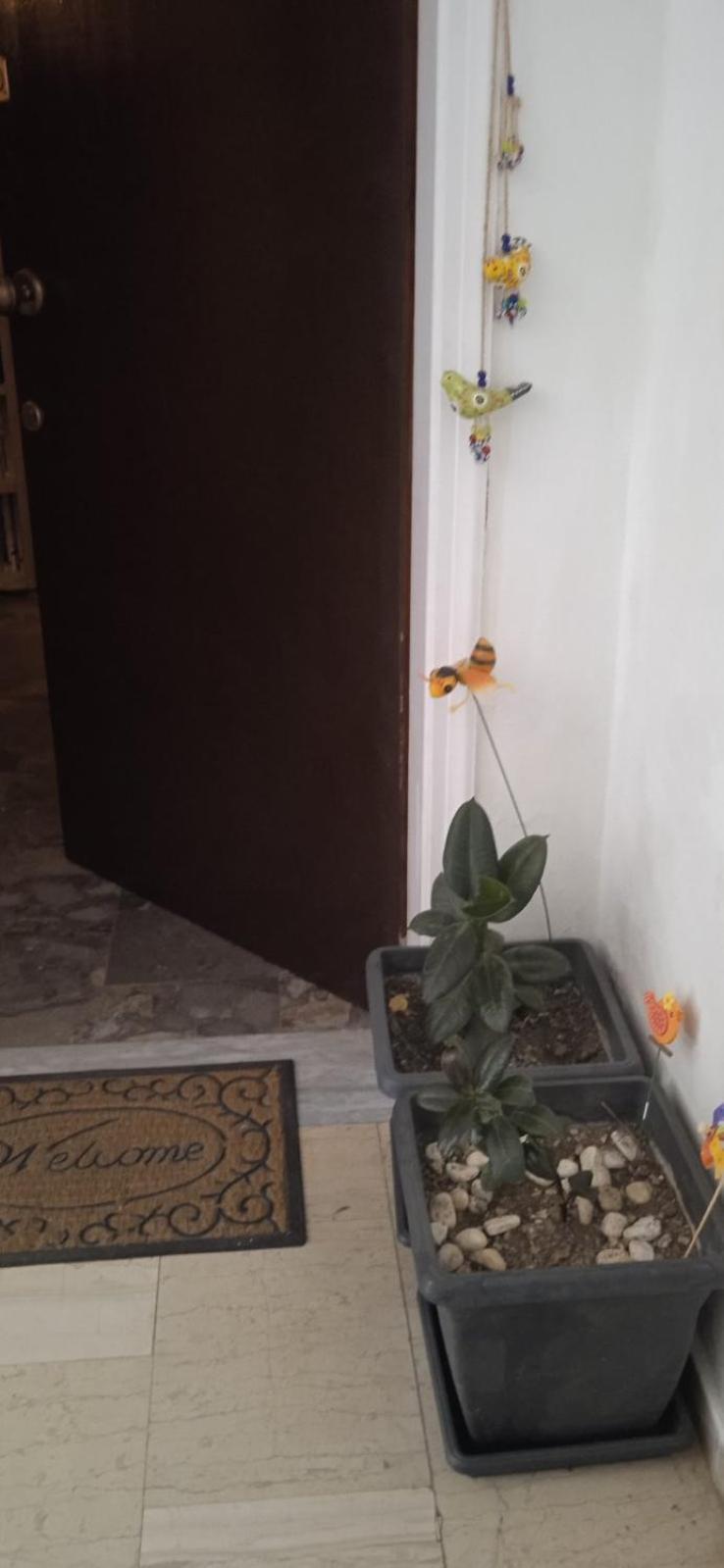 Campelina Home, 2Bd Near Corfu Town Dış mekan fotoğraf